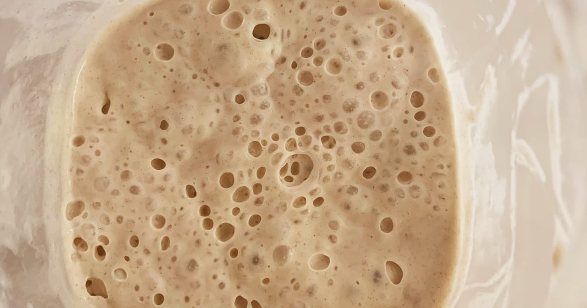Thermomix recipe: Sourdough Starter | Tenina.com