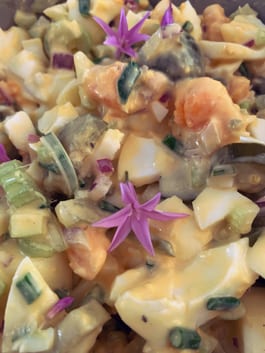 Egg Salad CU P Tenina