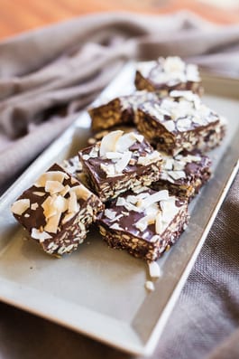 Fruit Seed and Choccie Slice