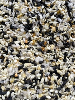 Bagel Seasoning