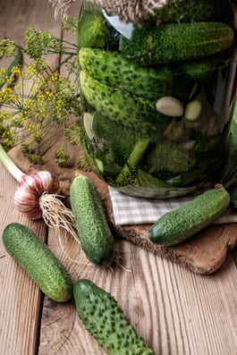 Lacto Fermented Pickles