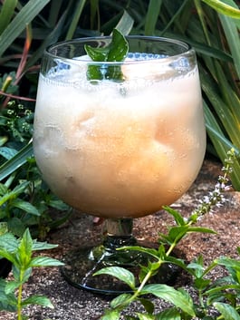 Lemongrass Lime Slushie P