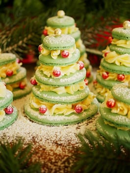 Macaron Christmas Tree forest 1 P Thermomix