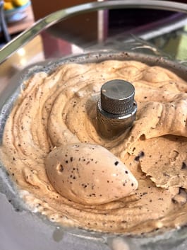 Malted Milk and Truffle Ice Cream P
