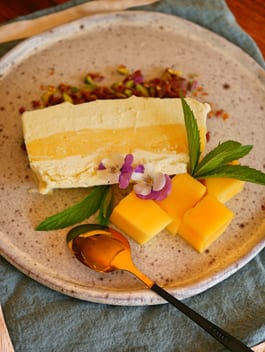 Mango Vanilla Ice Cream Bars OH P TENINA