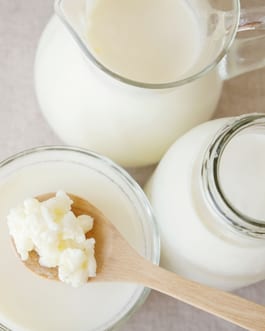 Milk kefir with grains