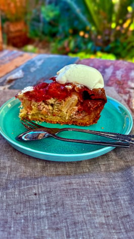 Norwegian Rhubarb Cake1