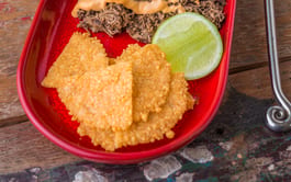 Parmesan Tacos  Fotor