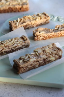 Raw Caramel Coconut Bars