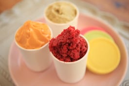 Roasted Plum Granita Mango Coconut Sorbet And Avocado Ice Dream Copy 2