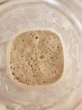 Sourdough Starter Tenina