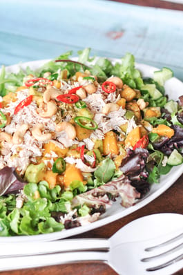 Tropical Chicken Salad with Mango Avocado Salsa