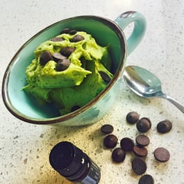 Vegan Mint Chocolate Chip Instant Ice Cream Fotor
