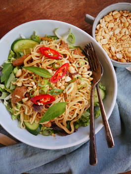 Vietnamese Pork and Noodle Salad P Fotor