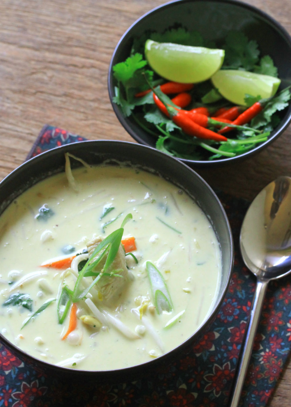 Thermomix recipe: Curried Coconut Chicken Soup | Tenina