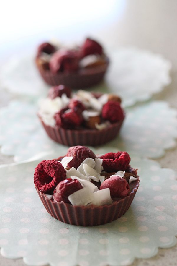 Coconut-and-Berrylicious-Bites