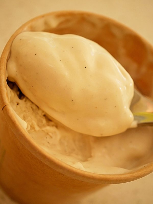 Sticky Rice Ice Cream base vanilla P TENINA